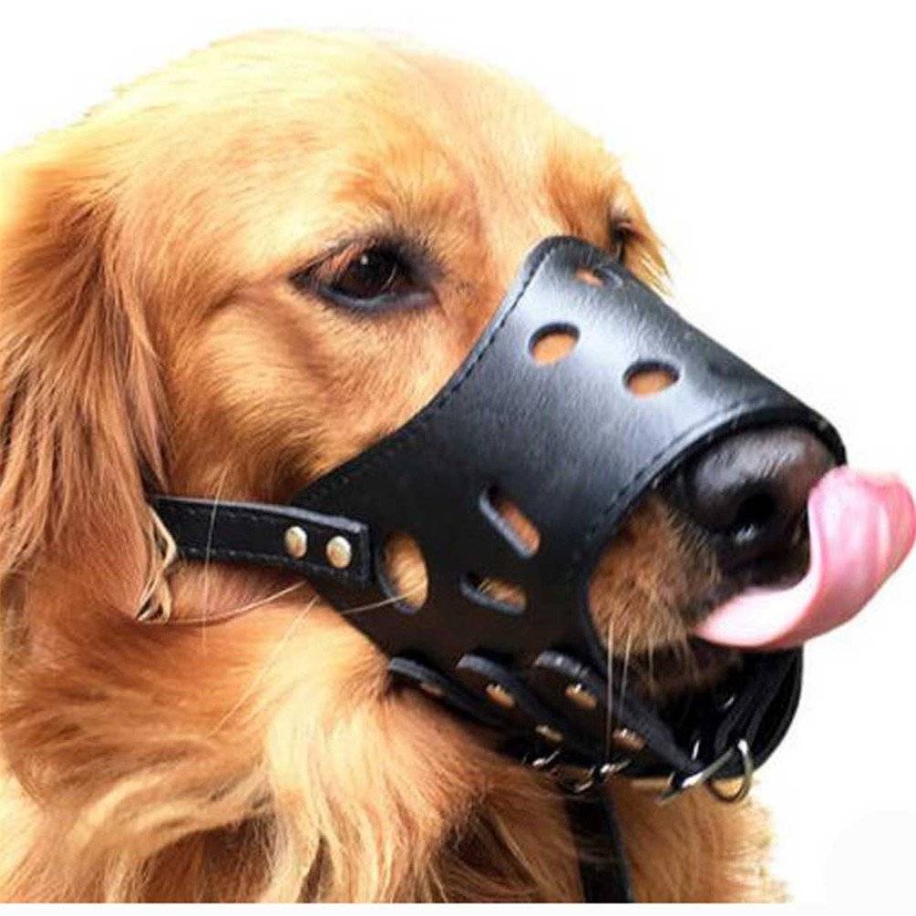 Leather Dog Muzzles