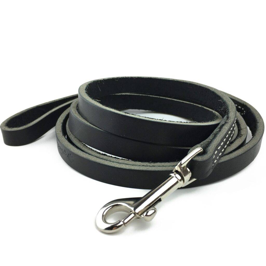 Fall in Love with Leather Leashes