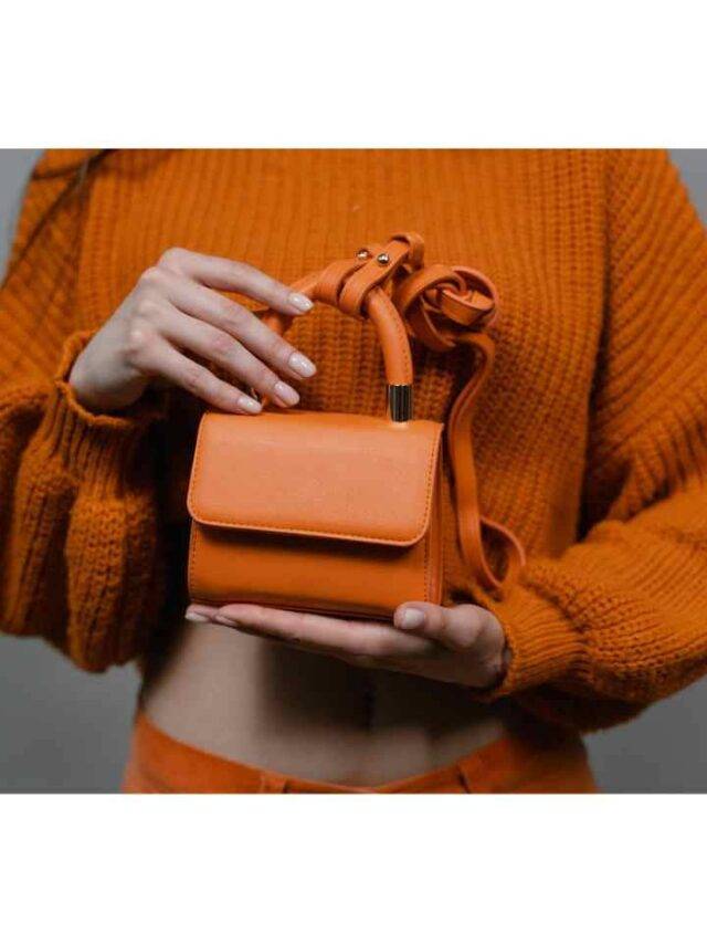 TOP 10 BAGS LEATHER BAGS LUXURY BAGS INDIAN LEATHER MANUFACTURER