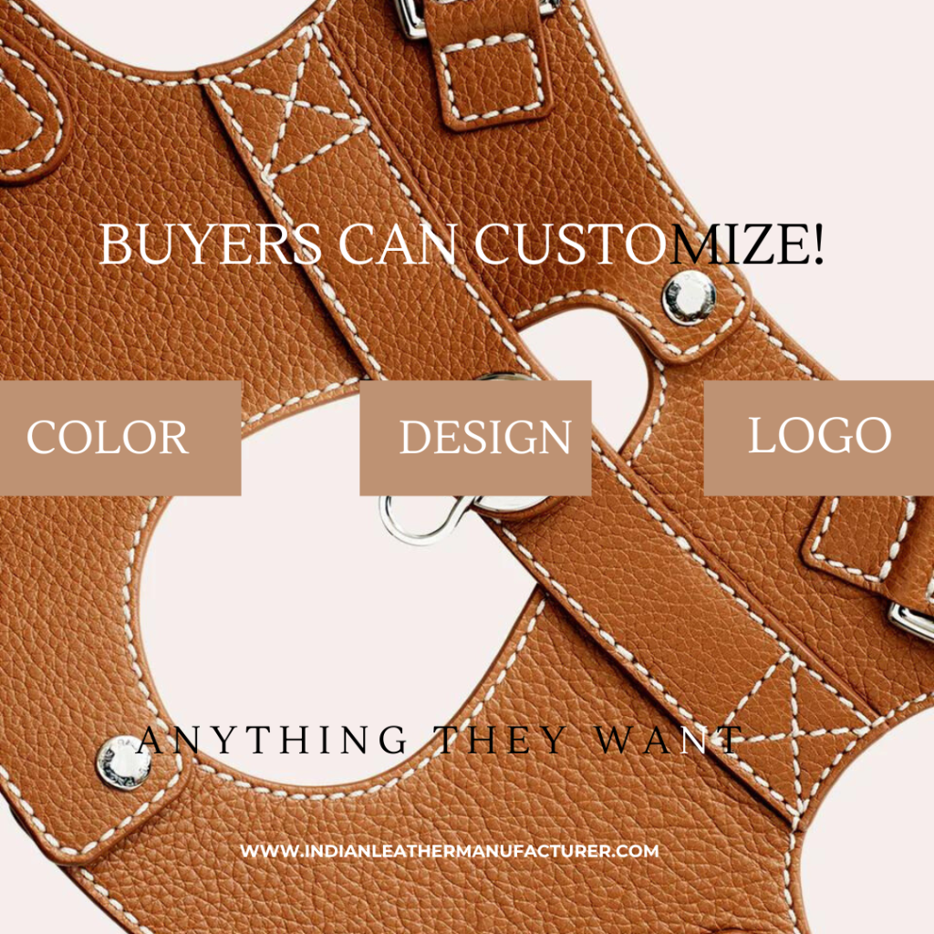 Leather dog harness cutsomization options